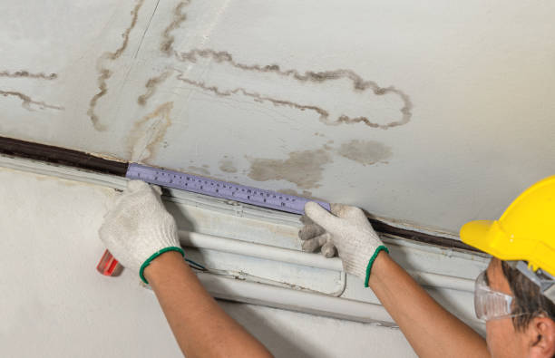 Reliable Mold Remediation contractor in Ypsilanti, MI by Local Water Damage Repair